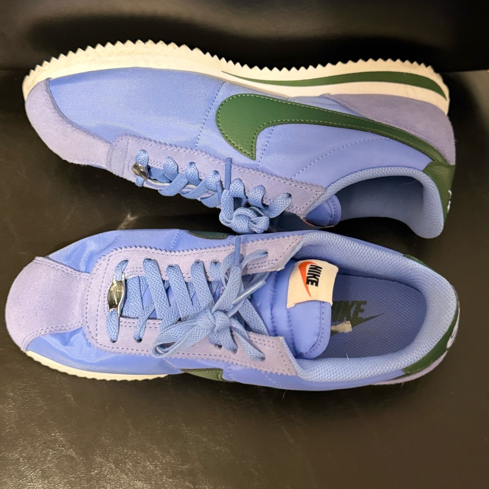 Nike Classic Blue and Green Sneakers